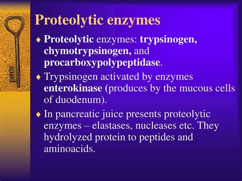 DIGESTION IN INTESTINES - ppt download