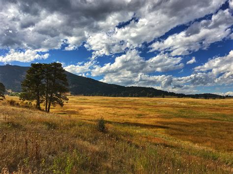 elk meadow evergreen colorado