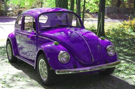 Volkswagen Beetle Purple Amazing Photo Gallery Some Information And