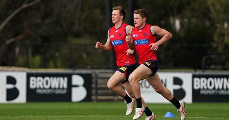 Afl Training Gallery August 15