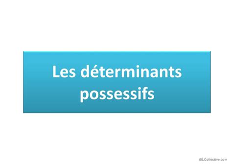 D Terminants Possessifs Fran Ais Fle Powerpoints