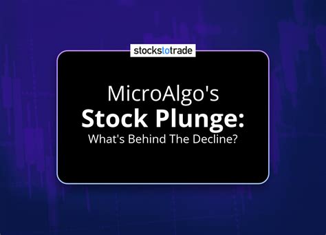 MicroAlgo Inc. Stock: Rocketing or Crumbling?