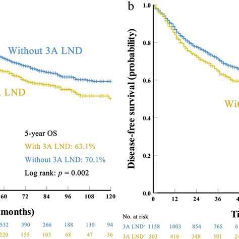 Survival Curves For Patients With And Without Station 3a Lymph Node