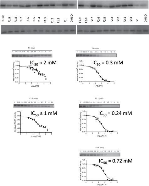 Biochemical Evaluation By In Vitro Kinase Assay Of The Fbs Hits F And