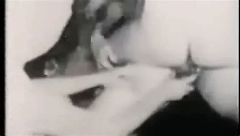 V Deos Porno De Porn Archive Gratis Xhamster