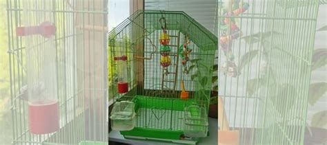 Клетка для волнистого попугая купить в Москве | Животные и зоотовары ...