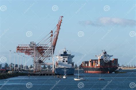 ship coming  port editorial photography image  tauranga