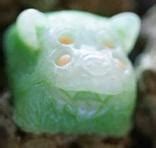 Grimey As Fuck Trash Panda V1 Keycap Archivist