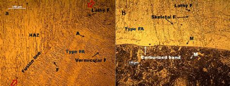 Optical Micrograph Of The Weld Zone Interfaces Between The Weld And Download Scientific