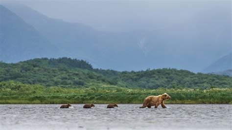 Following Mom - 2023 Alaska magazine Photo Contest Sponsored by Alaska ...