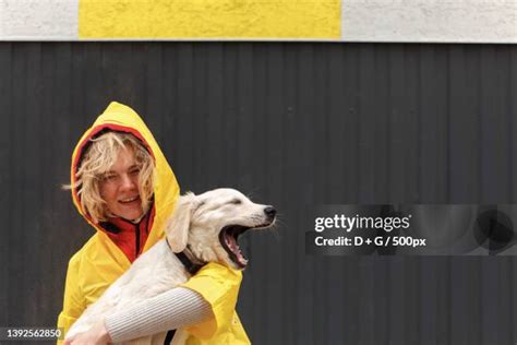 56 Finnish Lion Stock Photos High Res Pictures And Images Getty Images