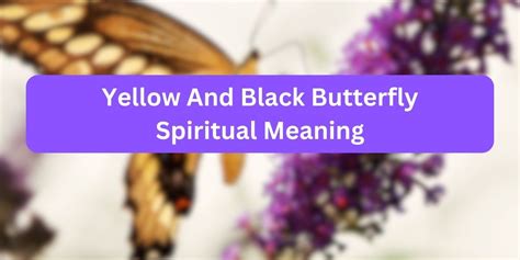 Yellow And Black Butterfly Spiritual Meaning Facts To Know