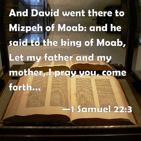 1 Samuel 223 And David Went There To Mizpeh Of Moab And He Said To