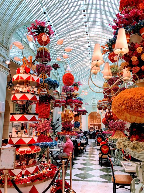 vegas must try jorge 6