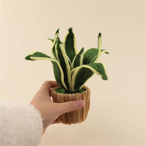 Snake Plant DIY Kit – Fuzzy Pipe