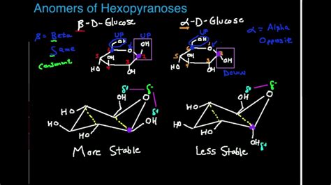 Alpha And Beta Glucose Ring Structure