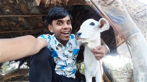 Ye Kon Mil Gya ? 🤔 Gaon Ke Khet Mein 🥰 - YouTube