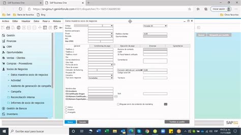 Datos Maestros Sap Business One Youtube