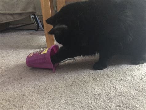 Origin stories: caught red-handed — Suzanne Arnold