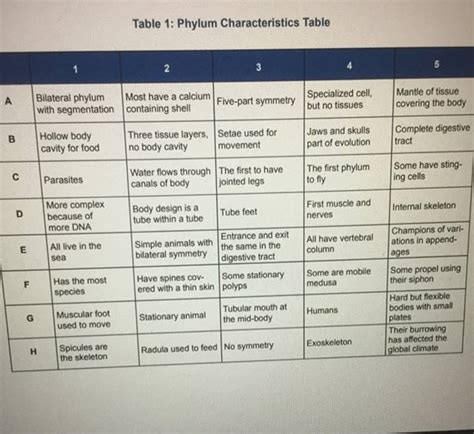 (Get Answer) - Table 1: Phylum Characteristics Table A Bilateral Phylum Most Have...| Transtutors