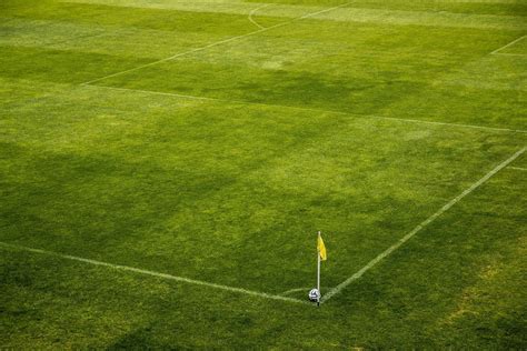 ¿conoces Todas Las Diferencias Entre El Fútbol Sala Y El Fútbol 11