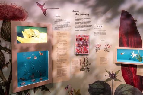 The Sex Appeal Exhibition Toulouse Tourisme