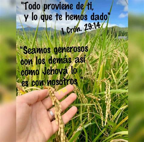 Pin De Floramaria En T Salmo Imagenes Testigos De Jehova