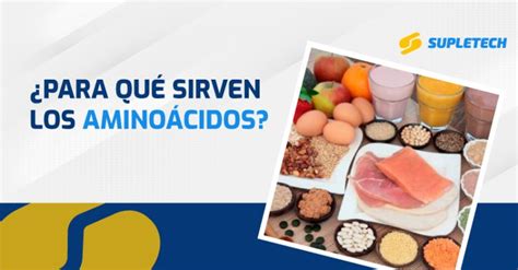 ¿para Qué Sirven Los Aminoácidos Blog