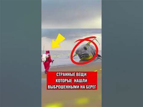 СТРАННЫЕ ВЕЩИ НАЙДЕННЫЕ ВЫБРОШЕННЫМИ НА БЕРЕГ - YouTube