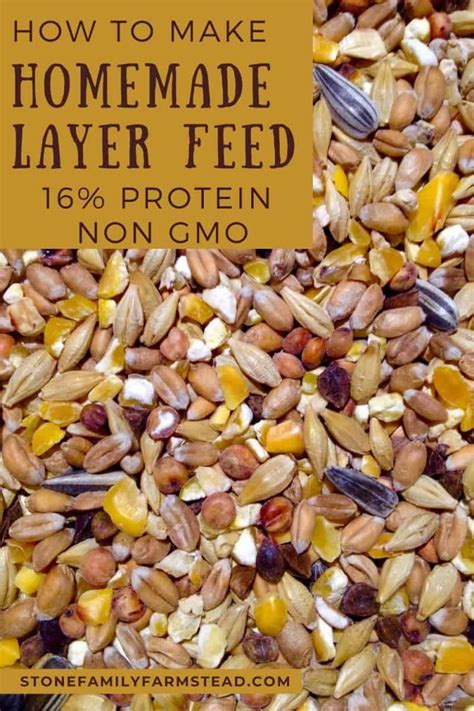 Diy Chicken Feed Recipe For Layers With Non Gmo Seeds