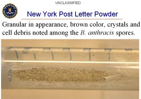 Anthrax Powder