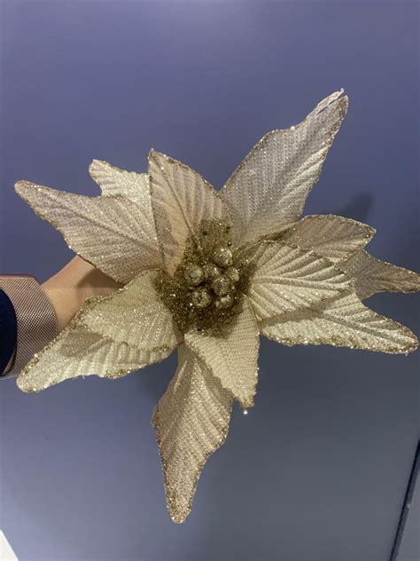 Flor Nude Fl Em Curitiba Pr Sete Embalagens