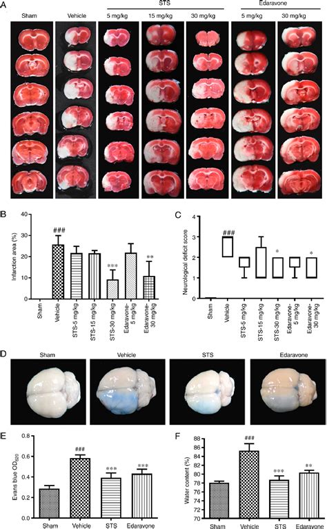 Figure From Sodium Tanshinone Iia Sulfonate Ameliorates Cerebral