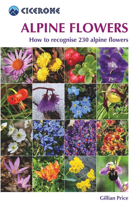 Alpine flowers | Pocket field guide for… | Cicerone Press