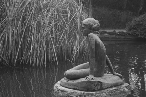 The Naked Dream Free Verse Tiger Riding For Beginners