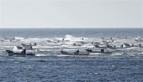 貝殻島でコンブ漁解禁 北方領土、9月末まで（写真・画像 1/3） - 産経ニュース