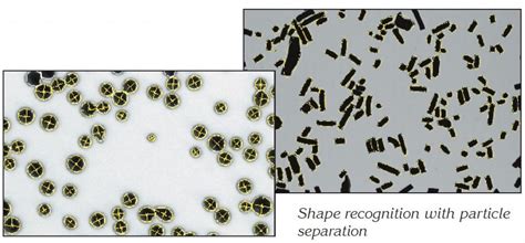 Ellix Image Analysis Software For Fully Automatic Particle Size And ...