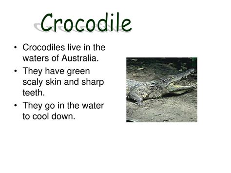 Australia Презентация по теме «Австралия». - ppt download