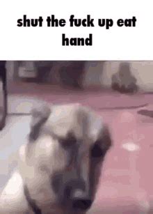 Fuck Me Memes Gifs Tenor