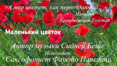 Шедевр вечный «Маленький цветок», Сидней Беше & Фаусто Папетти - YouTube