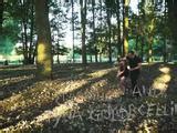 Collared Slave Foil Wrapped To A Tree Porno Movies Watch Porn Online Free Sex Videos
