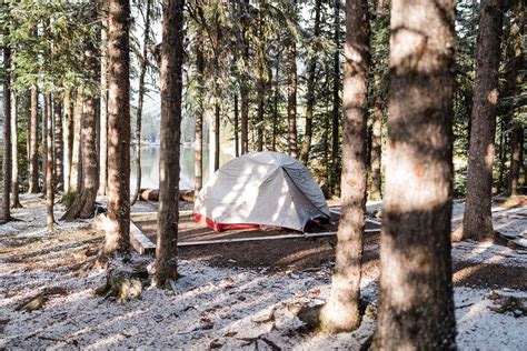 Naked Man Spotted In Kananaskis Sparks Safety Warning Highriveronline Local News