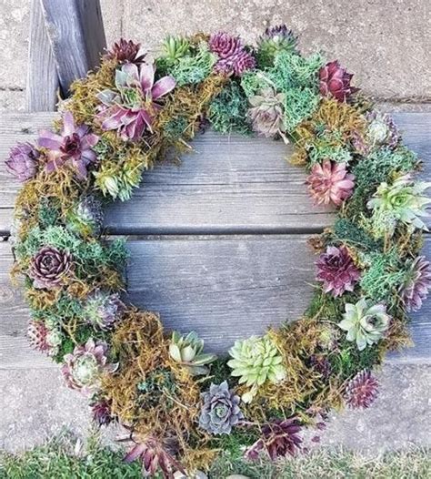 Living Succulent Wreath On Fresh Moss Base Etsy In 2021 Dried