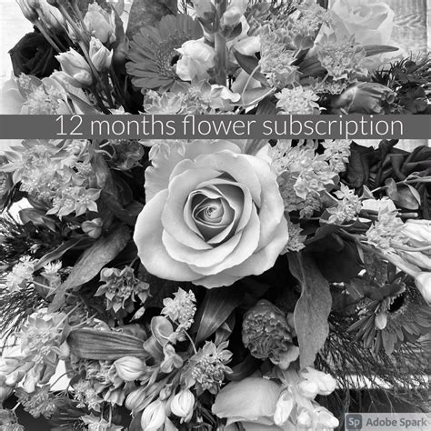 Flower Subscription 12 Months £300 Ammi Flowers