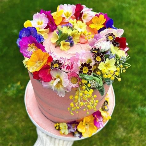 Signature Semi Naked Celebration Cake