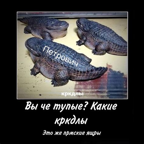 ГШ 8-1 с лекций и ГШ 2024 | ВКонтакте