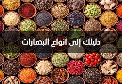Brands Jana Food