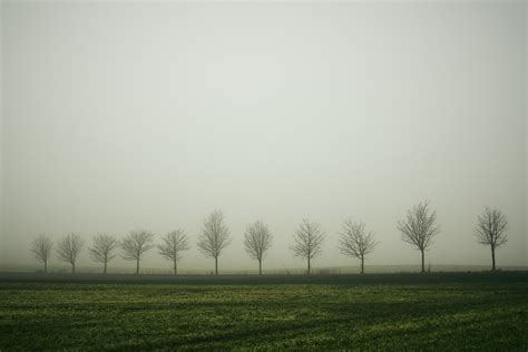 Fields Roads Of Mecklenburg Vorpommern II On Behance