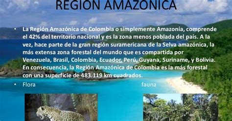 Arte Tecnologia Y Sociedad TODO SOBRE LA REGIÓN AMAZONICA