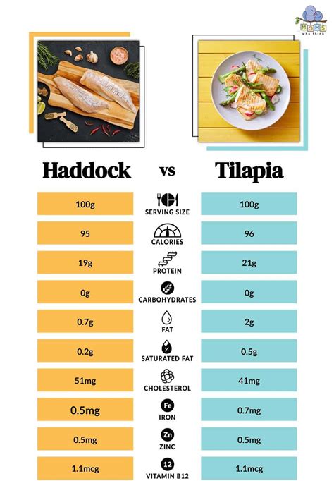 Haddock Vs Tilapia Discovering The Key Differences